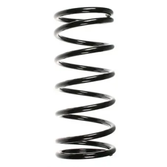 Ressort de suspension SPIDAN 55009