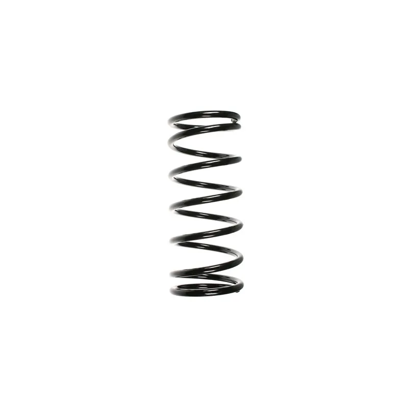 Ressort de suspension SPIDAN 55009