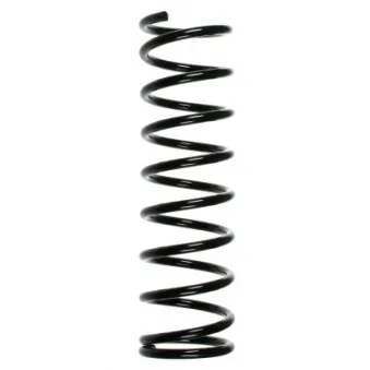 Ressort de suspension SPIDAN 55011