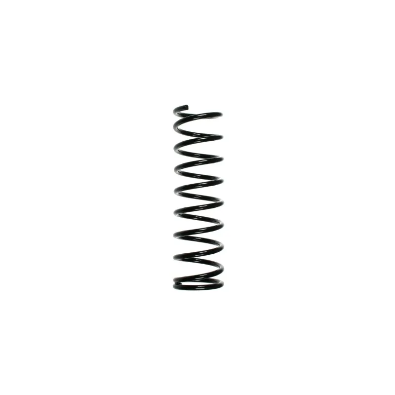 Ressort de suspension SPIDAN 55011