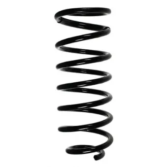 Ressort de suspension SPIDAN 55030