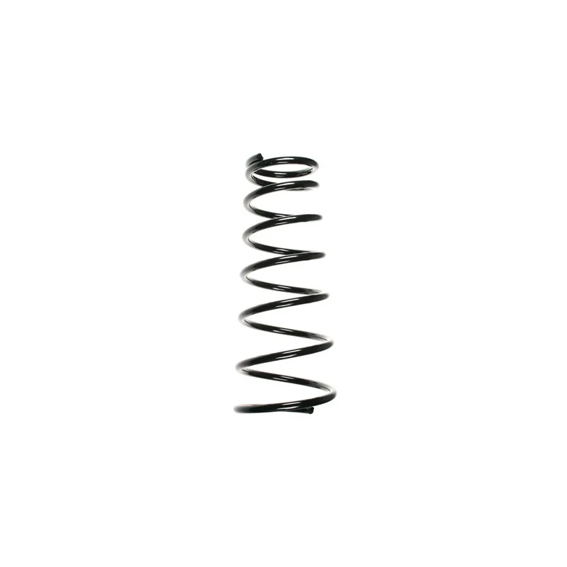 Ressort de suspension SPIDAN 55034
