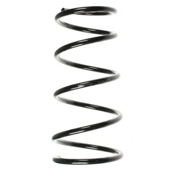 Ressort de suspension SPIDAN 55037