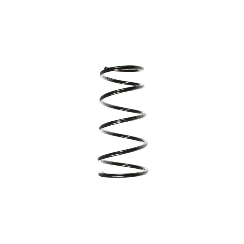 Ressort de suspension SPIDAN 55037