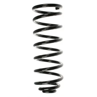 Ressort de suspension SPIDAN 55039