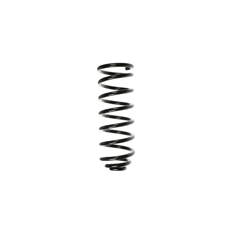 Ressort de suspension SPIDAN 55039