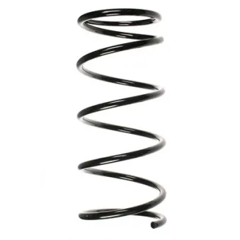 Ressort de suspension SPIDAN 55040
