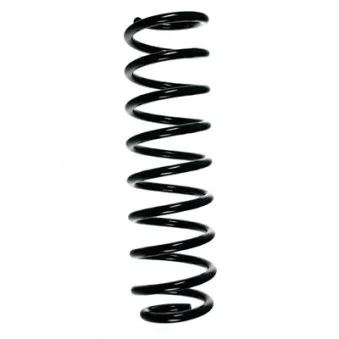 Ressort de suspension SPIDAN 55041