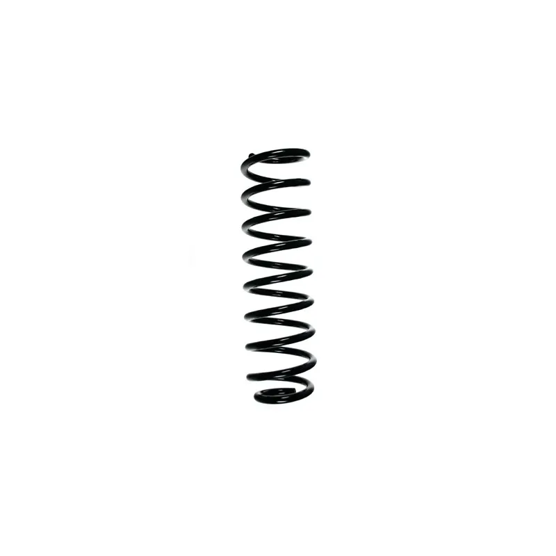 Ressort de suspension SPIDAN 55041