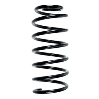 Ressort de suspension SPIDAN 55043