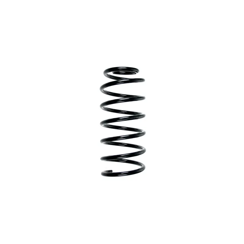 Ressort de suspension SPIDAN 55043