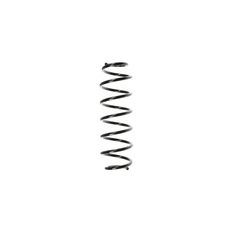 Ressort de suspension SPIDAN 55044