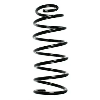 Ressort de suspension SPIDAN 55045