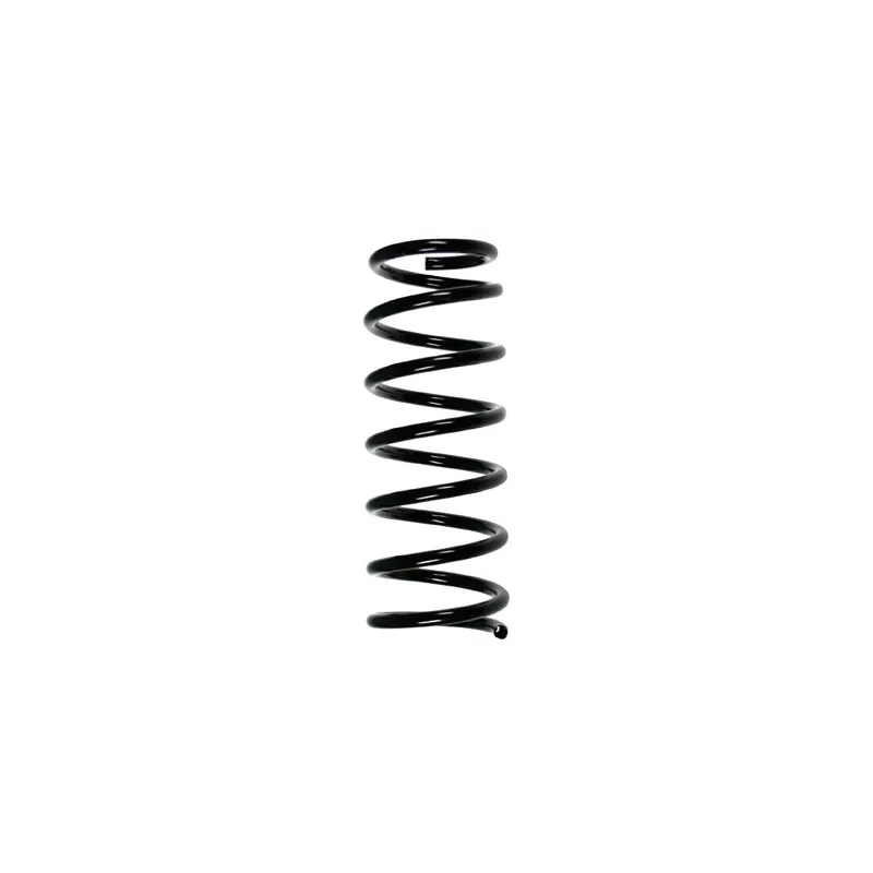 Ressort de suspension SPIDAN 55047