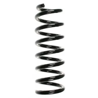 Ressort de suspension SPIDAN 55048