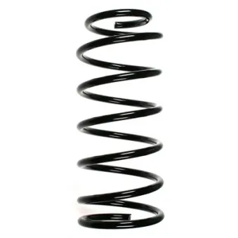 Ressort de suspension SPIDAN 55054
