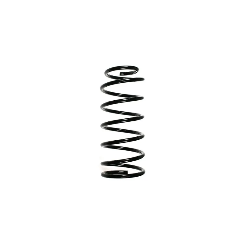 Ressort de suspension SPIDAN 55054