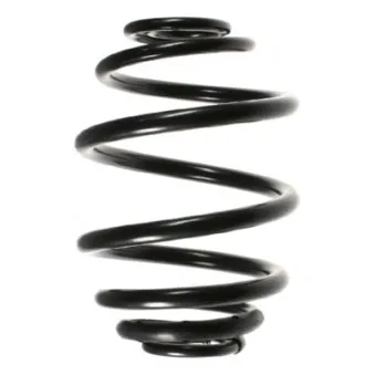 Ressort de suspension SPIDAN 55059