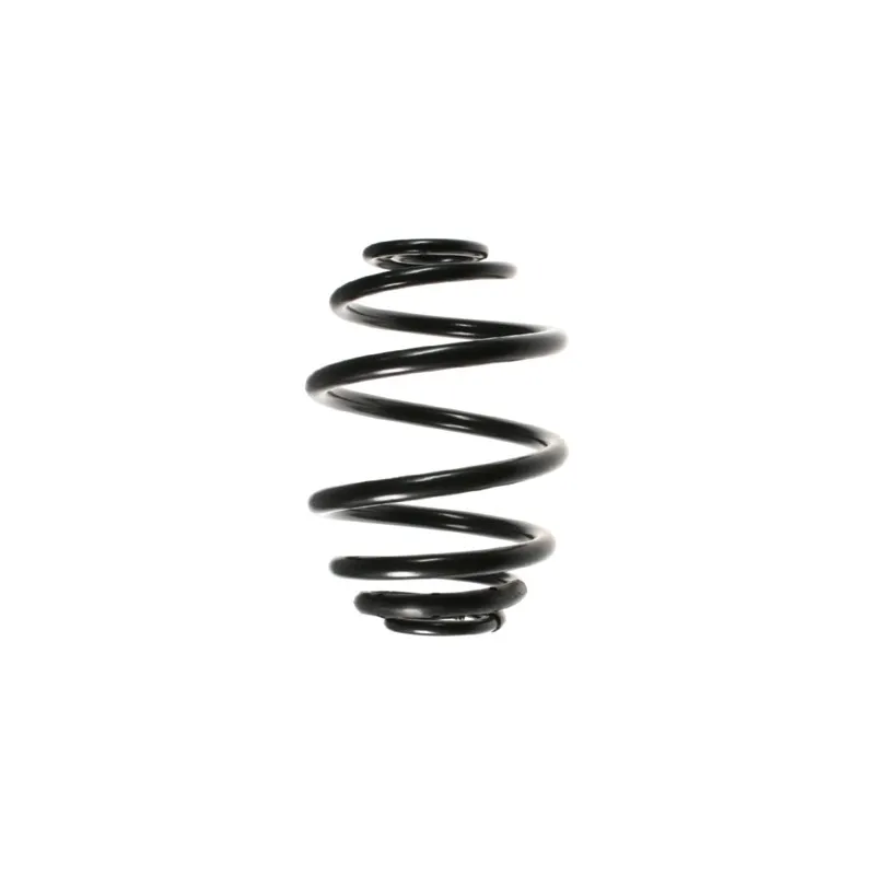Ressort de suspension SPIDAN 55059