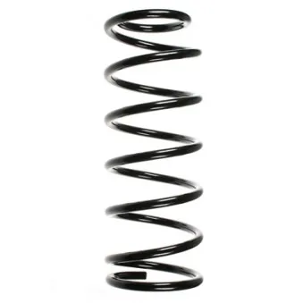 Ressort de suspension SPIDAN 55061