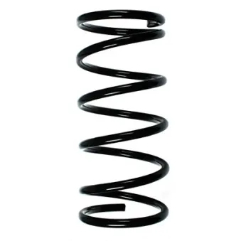 Ressort de suspension SPIDAN 55063