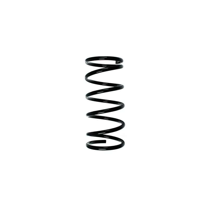 Ressort de suspension SPIDAN 55063