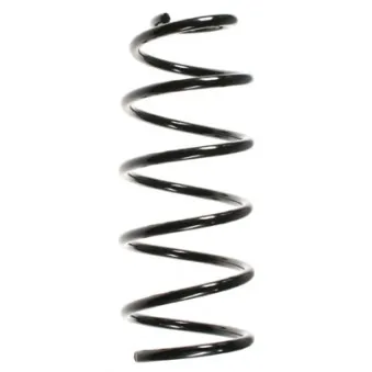 Ressort de suspension SPIDAN 55064