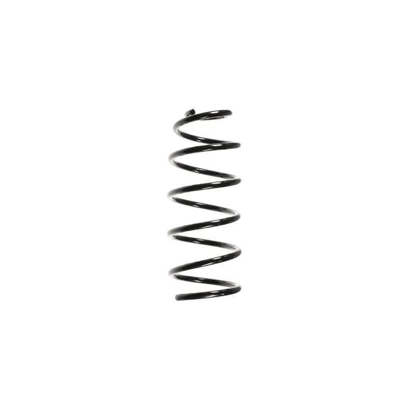 Ressort de suspension SPIDAN 55064