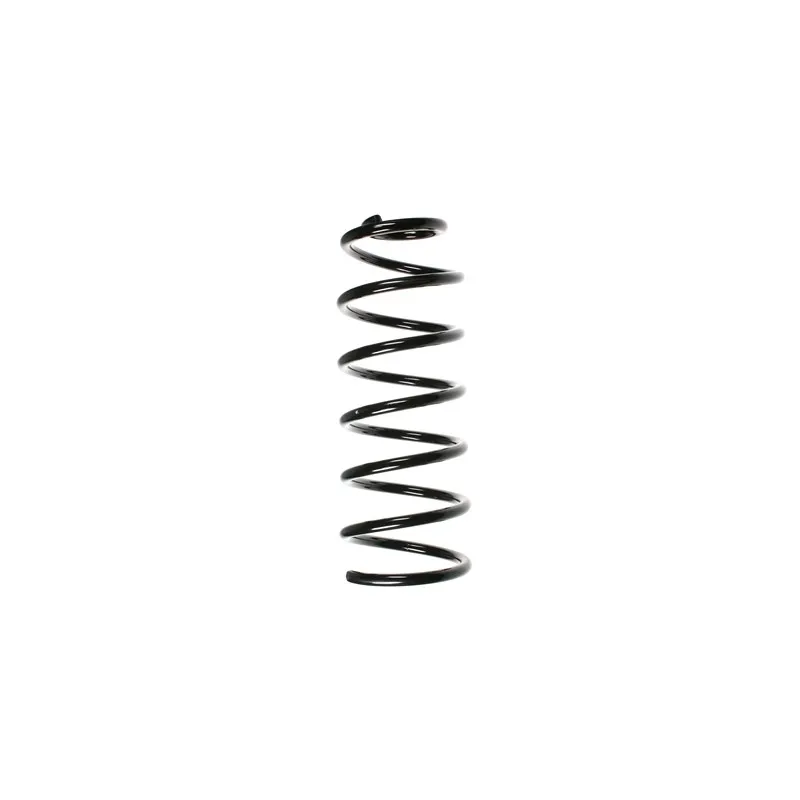 Ressort de suspension SPIDAN 55067