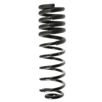 Ressort de suspension SPIDAN 55068