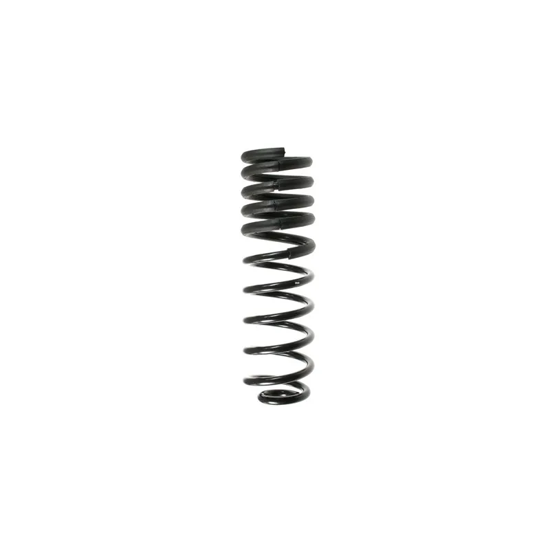 Ressort de suspension SPIDAN 55068