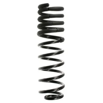 Ressort de suspension SPIDAN 55069