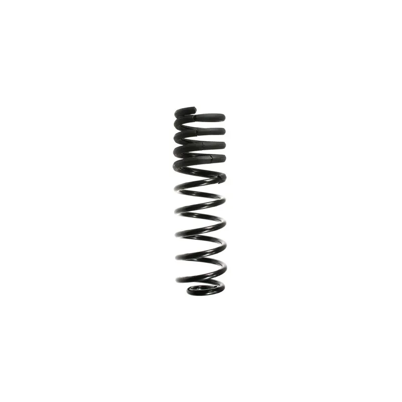 Ressort de suspension SPIDAN 55069