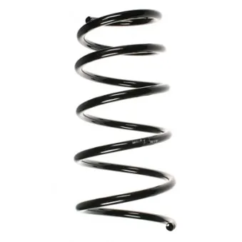 Ressort de suspension SPIDAN 55072