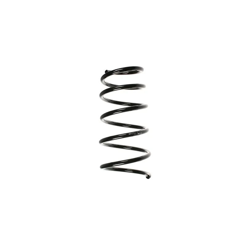 Ressort de suspension SPIDAN 55072