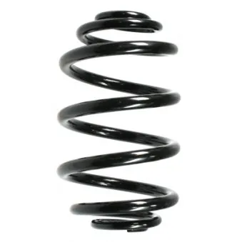 Ressort de suspension SPIDAN 55073