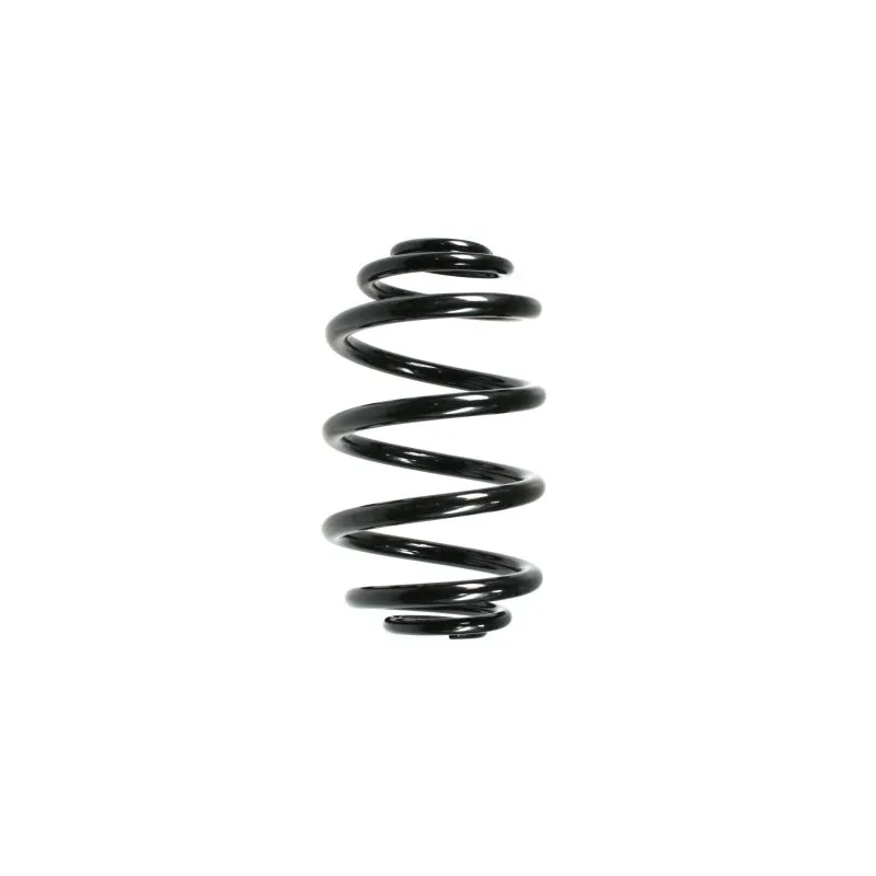 Ressort de suspension SPIDAN 55073