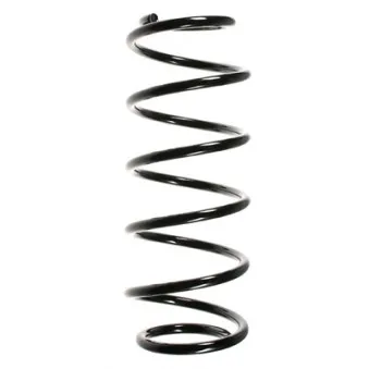 Ressort de suspension SPIDAN 55076