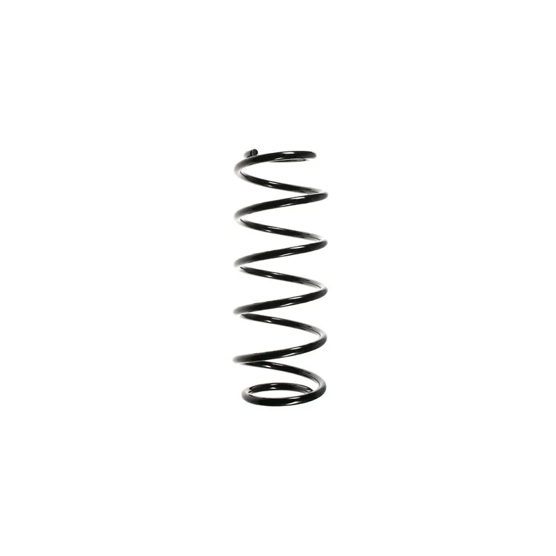 Ressort de suspension SPIDAN 55076