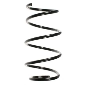 Ressort de suspension SPIDAN 55080