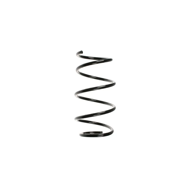 Ressort de suspension SPIDAN 55080