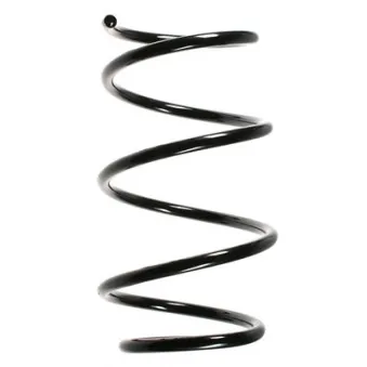 Ressort de suspension SPIDAN 55083