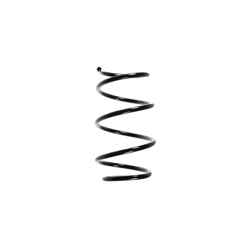 Ressort de suspension SPIDAN 55083