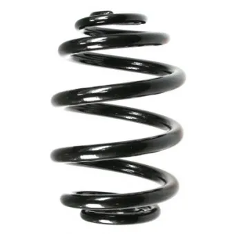 Ressort de suspension SPIDAN 55085