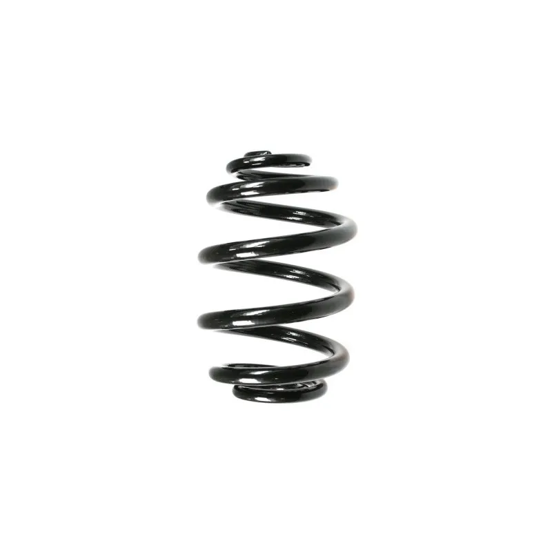 Ressort de suspension SPIDAN 55085