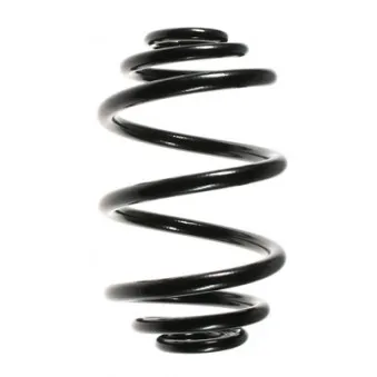 Ressort de suspension SPIDAN 55087