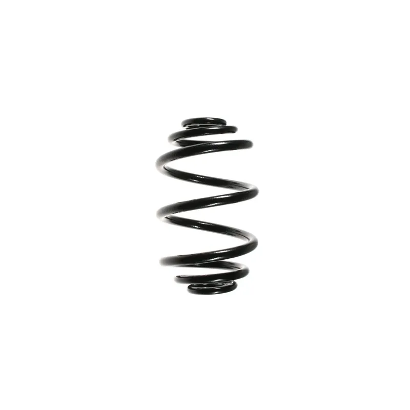 Ressort de suspension SPIDAN 55087