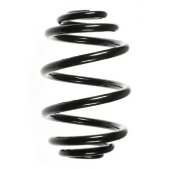 Ressort de suspension SPIDAN 55088