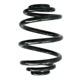 Ressort de suspension SPIDAN 55092