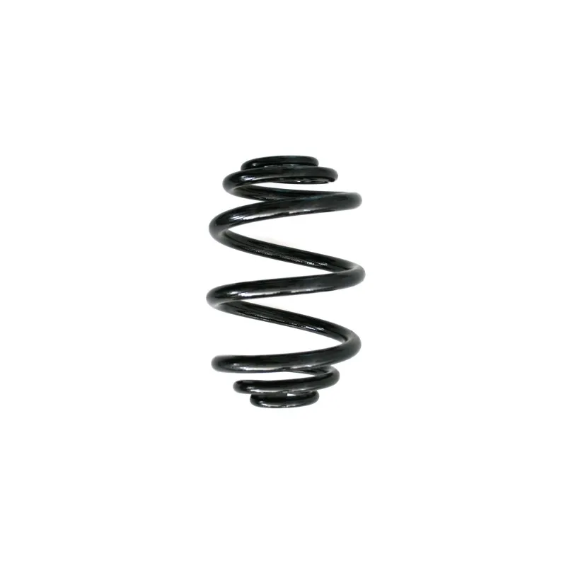 Ressort de suspension SPIDAN 55092